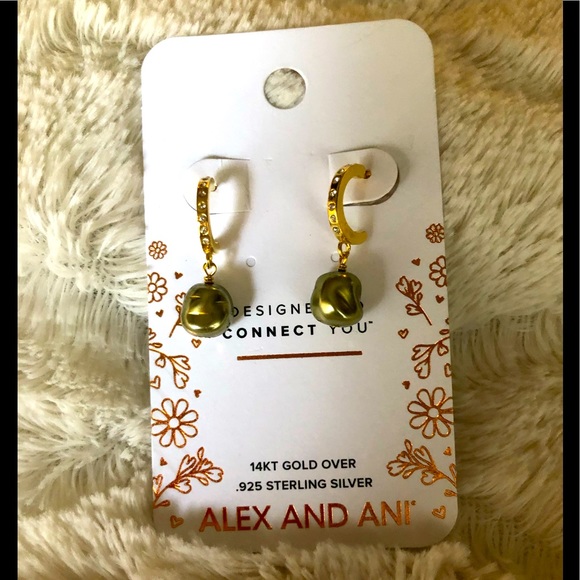 ALEX AND ANI EARRINGS 🤩 - Picture 1 of 5